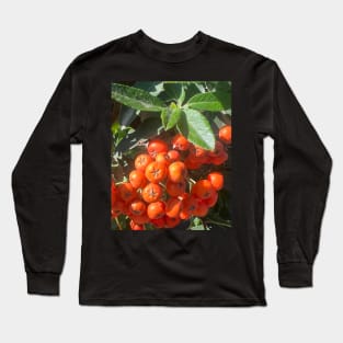 Fall Orange Berries Long Sleeve T-Shirt